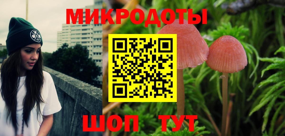 Галлюциногенные грибы Psilocybe Азов