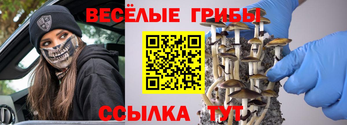 Азов  Галлюциногенные грибы прущие грибы  Вход с VPN 